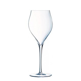 champagne goblet EXALTATION 30 cl product photo