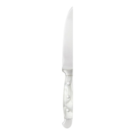 steak knife | smooth cut acrylic handle nacre L 240 mm product photo