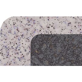 Versa tray polyester titanium coloured granite look rectangular | 530 mm  x 325 mm product photo