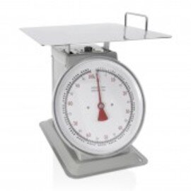 scales analog weighing range 100 kg subdivision 250 g product photo