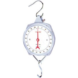 hanging scales analog weighing range 100 kg subdivision 500 g product photo