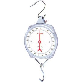 hanging scales analog weighing range 100 kg subdivision 500 g product photo