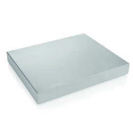 cool keeping plate GN 1/1 stainless steel product photo