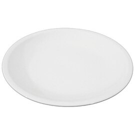 Clearance | Coupé plate, flat, Ø 25.5 cm, white, with narrow flag, series Blanko product photo