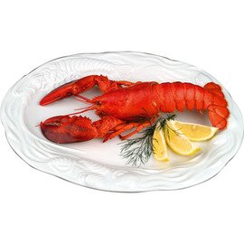 lobster dining plate porcelain white relief rim oval  L 330 mm  x 240 mm product photo