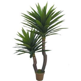 Decorative Artificial Plants, Yuccapalme, natural, real, without overtopf, height: 145 cm product photo