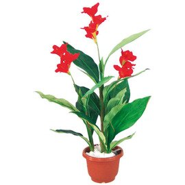 Decorative Artificial Plants, Canna Lily, natural, realistic, without overpins, height: 100 cm product photo