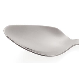 grapefruit spoon stainless steel  L 155 mm product photo  S