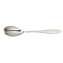 pudding spoon TERRA L 195 mm product photo