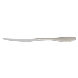 dining knife TERRA standing massive handle L 239 mm product photo