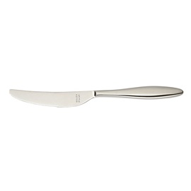 dining knife TERRA massive handle L 240 mm product photo