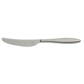 dining knife TERRA RETRO massive handle L 240 mm product photo