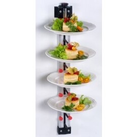plate stacking system WM-12 number of plates 12 wall mounting product photo