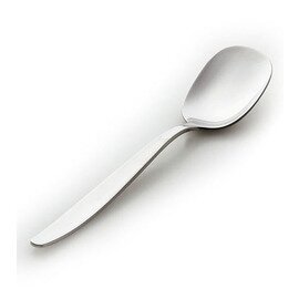 Ice spoon, stainless steel 18/10, polished, handles brushed, L 136 mm product photo