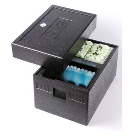 ice cream transportation box