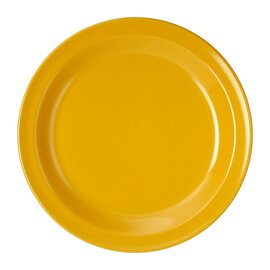 dessert plate melamine yellow  Ø 195 mm | reusable product photo
