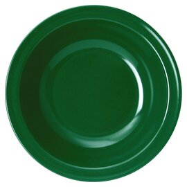 plate 600 ml melamine green  Ø 205 mm | reusable product photo