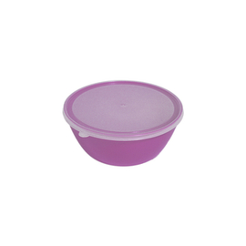 bowl with lid 400 ml | violet product photo