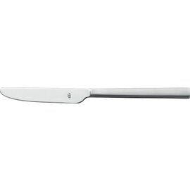 dining knife VISION matt | massive handle  L 218 mm product photo
