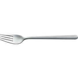 dining fork CHIARO MAT stainless steel 18/10 matt  L 205 mm product photo