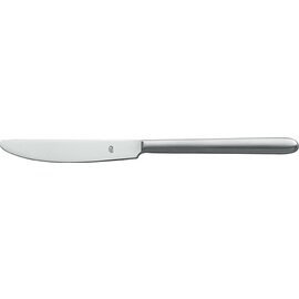 dining knife CHIARO MAT 18/10 matt | massive handle L 228 mm product photo