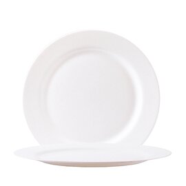 CLEARANCE | underplate Evolution Uni Weiss | tempered glass white  Ø 317 mm product photo