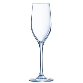 champagne goblet SEQUENCE 17 cl product photo