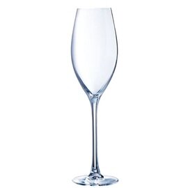 champagne goblet 24 cl product photo