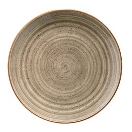 plate flat AURA TERRAIN Gourmet Terrain Ø 270 mm porcelain product photo