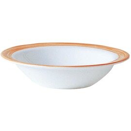 multi-purpose bowl RESTAURANT BRUSH ORANGE 100 ml tempered glass  Ø 120 mm  H 26 mm product photo