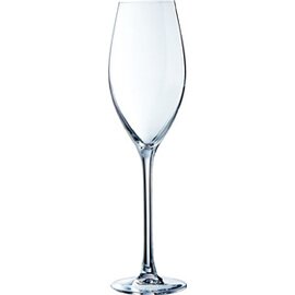 Clearance | champagne glass Grand Cepages,  0.1 l,/-/, 24 cl, Ø 64,5 mm, h 235 mm, 125 g product photo