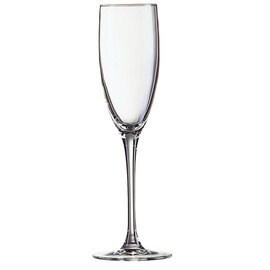 champagne goblet SIGNATURE 17 cl with mark; 0.1 ltr product photo