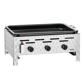 tabletop gas roaster TB1100PF product photo