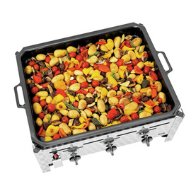 tabletop gas roaster TB1100PF product photo  S