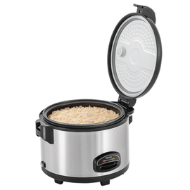 rice cooker 6 ltr | stainless steel | 230 volts product photo