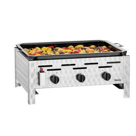 tabletop gas roaster TB1100PF product photo