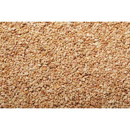 corn granulate product photo  S