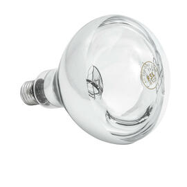 Infrared lamp IWL250D-WS product photo