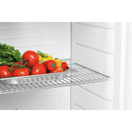 storage fridge 350 l | convection cooling product photo  S