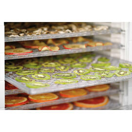 automatic food dehydrator 120 | 500 watts product photo  S