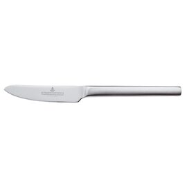 dining knife TOOLS 6174 matt | massive handle  L 228 mm product photo