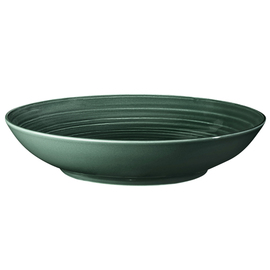 pasta plate | coup plate deep TERRA COLOUR GLAZE green Ø 260 mm | porcelain product photo