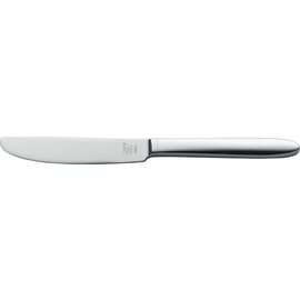 dining knife ARONA  L 233 mm hollow handle product photo