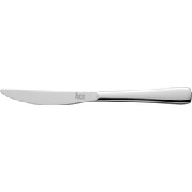 dining knife SOHO  L 224 mm massive handle product photo