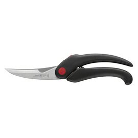poultry shears  L 255 mm  • curved handle  • handle colour black product photo