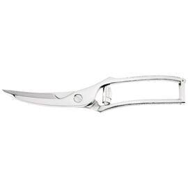 poultry shears CLASSIC with spring with lock  L 252 mm  • dismountable product photo