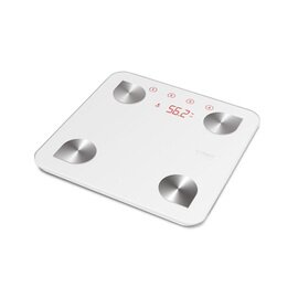 personal scales BF 4 | 0 to 150 kg  L 320 mm product photo