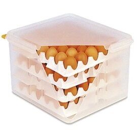 egg container GN 2/3 transparent with lid 354 mm  B 325 mm product photo