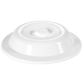 plate dome polypropylene white  H 50 mm maximal plate Ø 241 mm | handle knob product photo