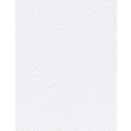 dispenser napkins 1 ply white 36 x 300 pieces product photo
